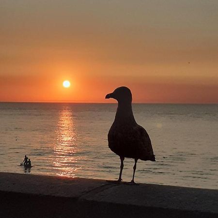 Camping Les Falaises De Toussaint Dış mekan fotoğraf