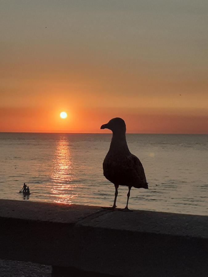 Camping Les Falaises De Toussaint Dış mekan fotoğraf