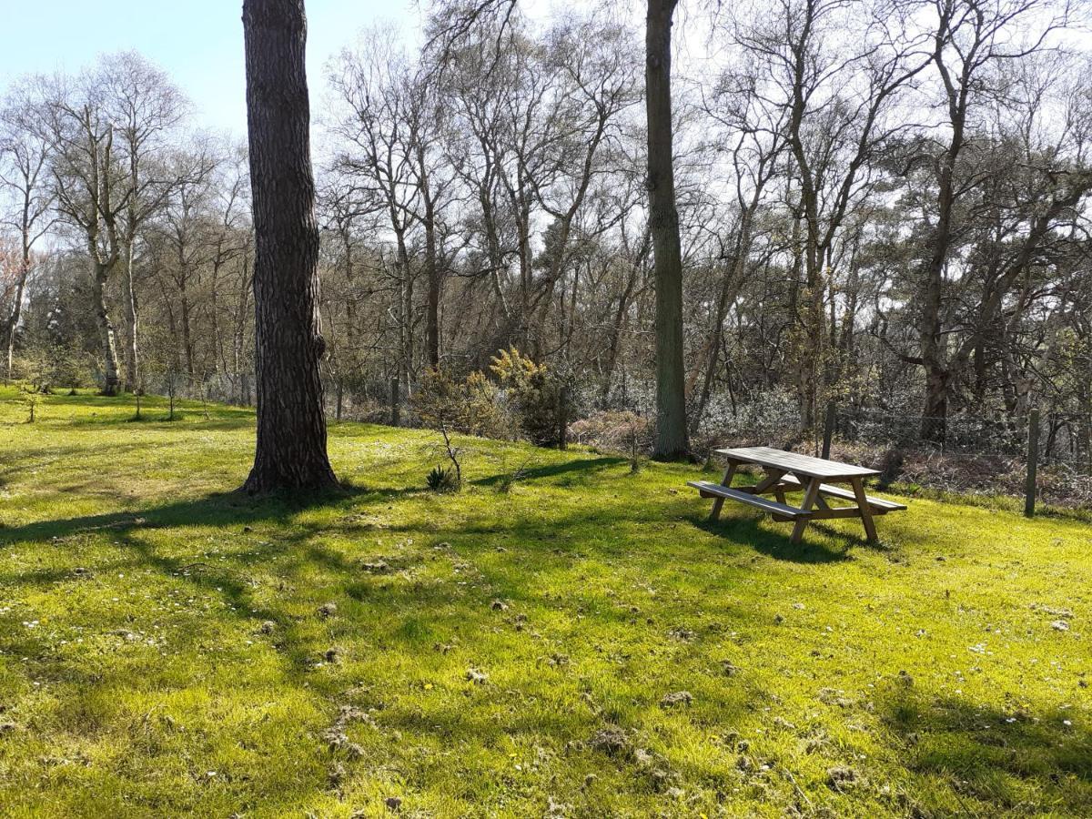 Camping Les Falaises De Toussaint Dış mekan fotoğraf