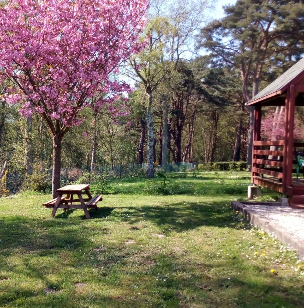 Camping Les Falaises De Toussaint Dış mekan fotoğraf